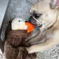 Load image into Gallery viewer, Tall Tails Otter Rope Body Dog Toy