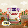 Load image into Gallery viewer, Mushroom Immunity Powder