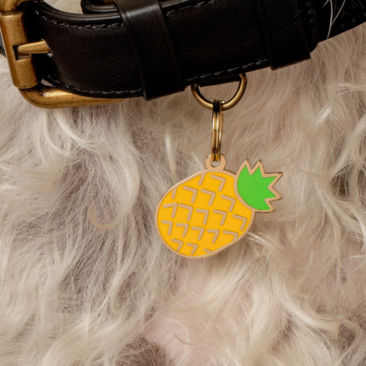 Pineapple Pet Id Tag