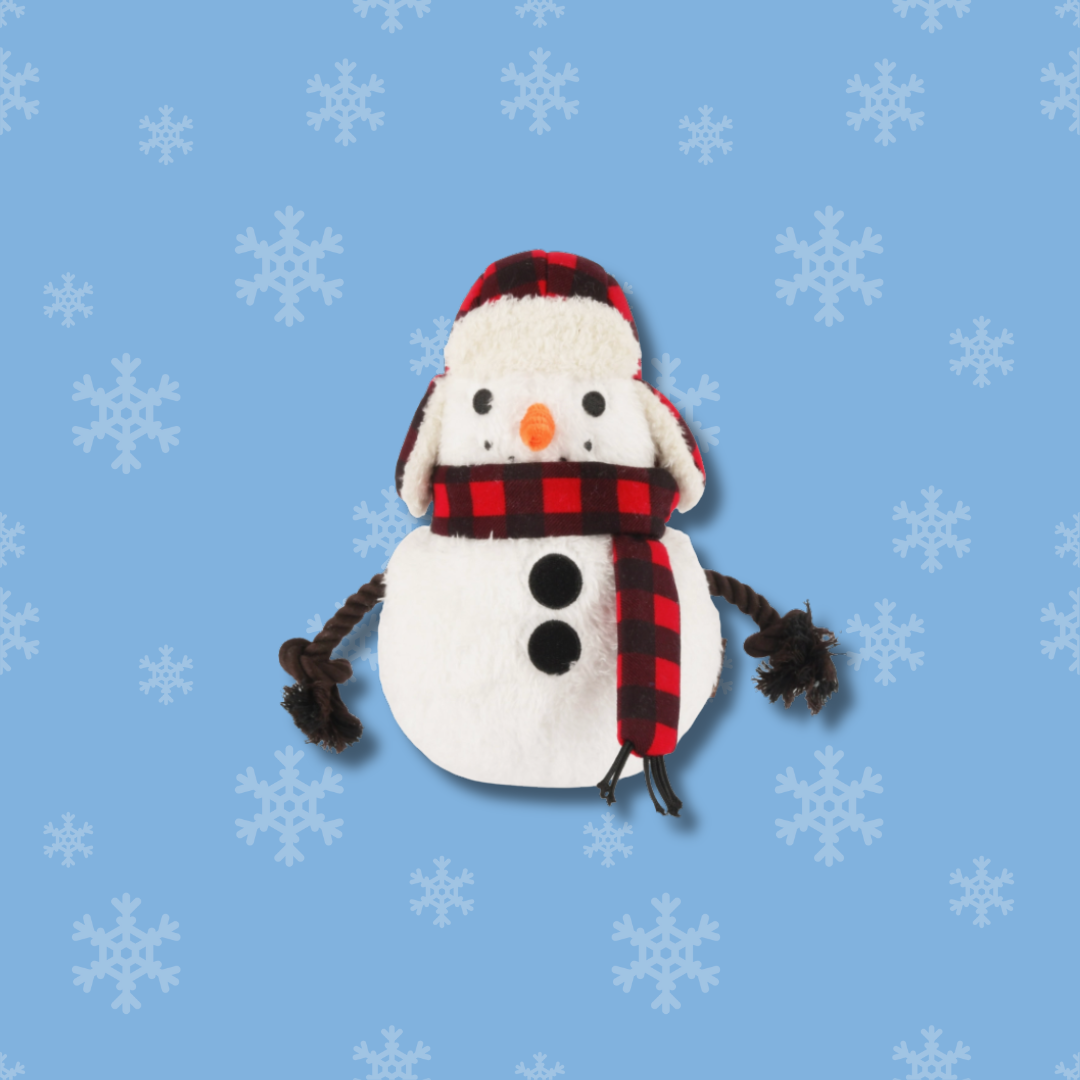 Home For The Holidays - Blizzard Buddy