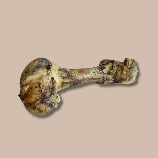 Beef Cured Dino Bone (Femur)