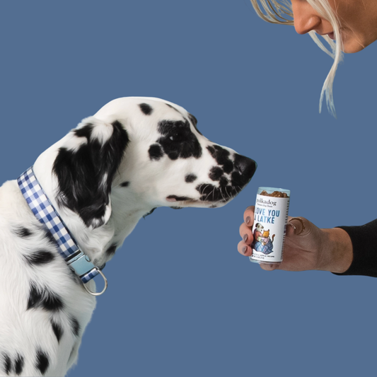 Holiday Mini Tube: I Love You A Latke - Dog Treats