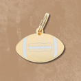 Load image into Gallery viewer, Football Pet Id Tag