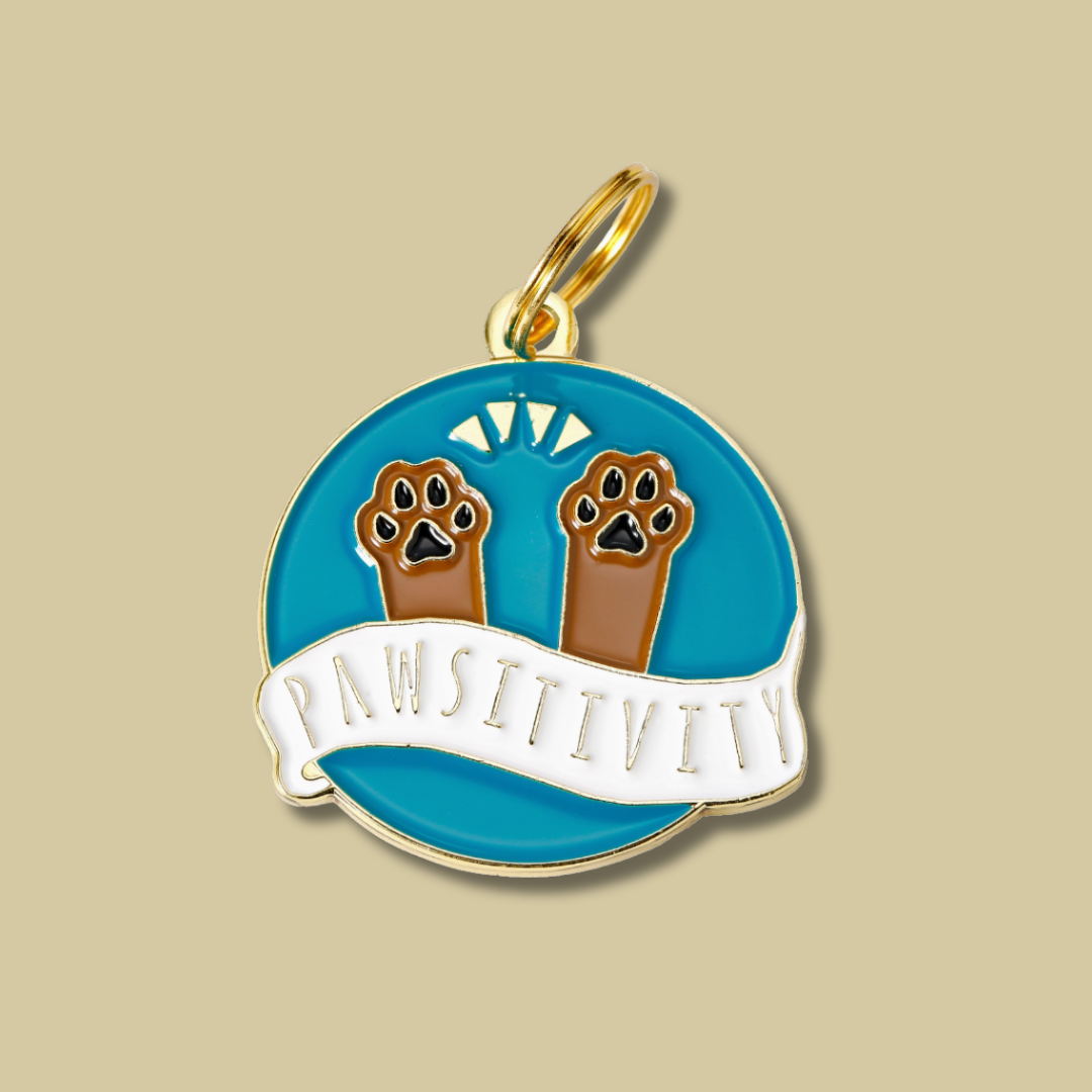 Pawsitivity Pet Id Tag