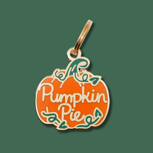 Pumpkin Pie Pet Id Tag