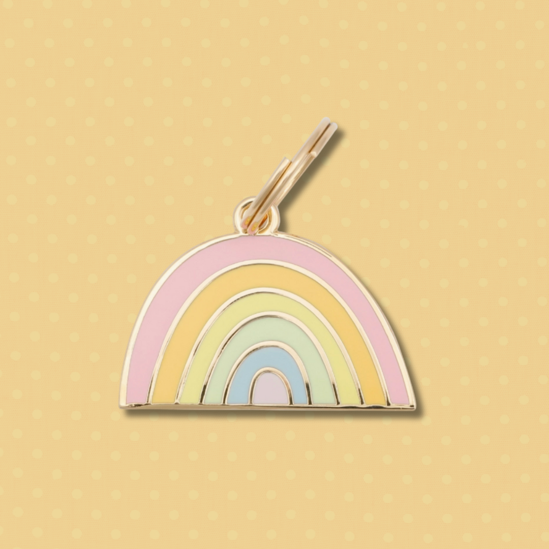 Rainbow Pet Id Tag