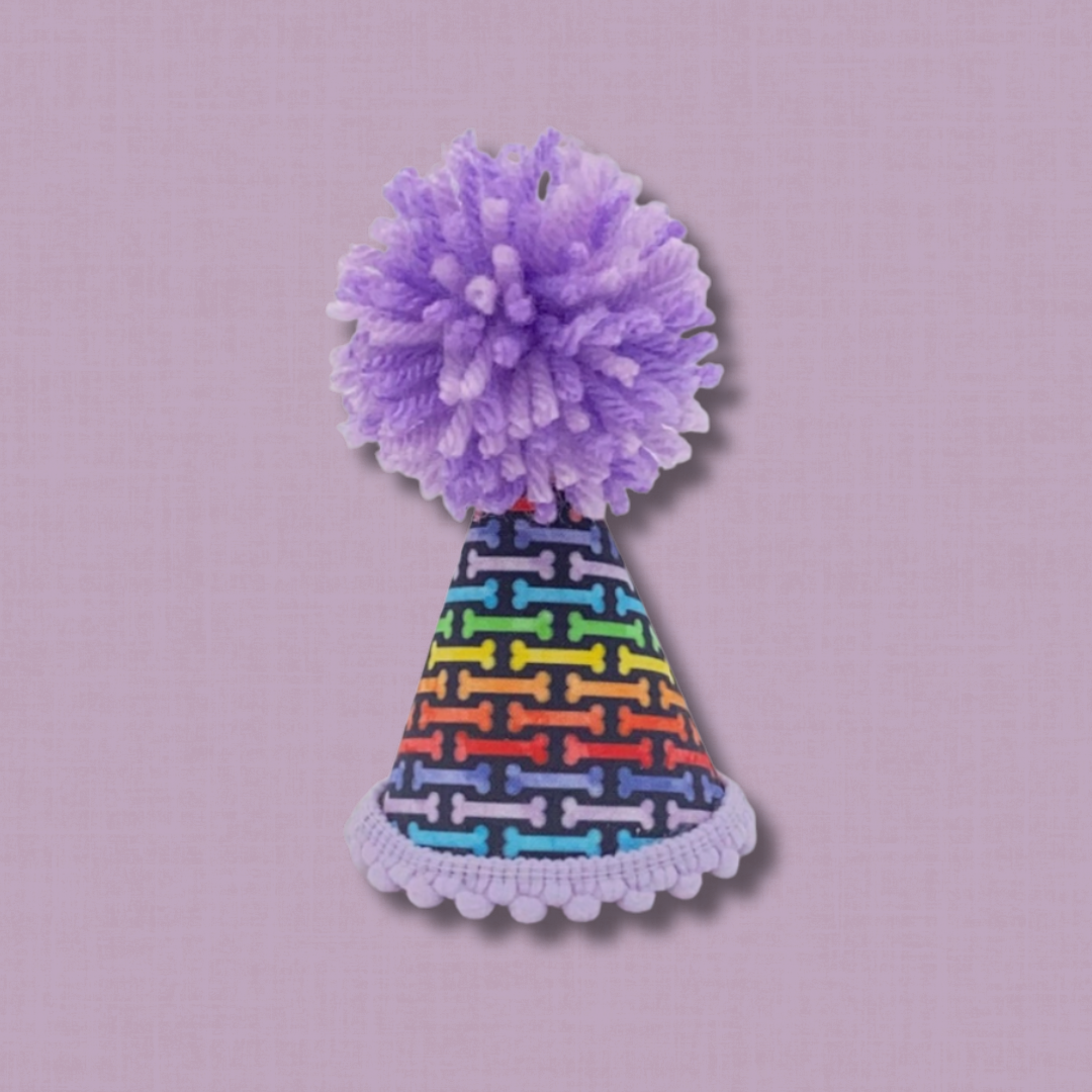 Rainbow Dog Bone Birthday Party  Hat