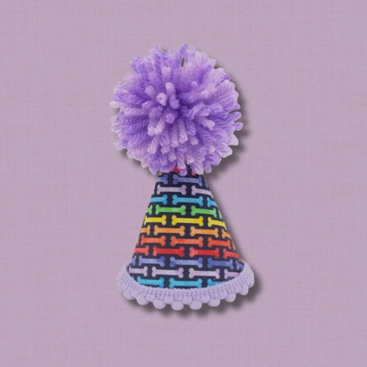 Rainbow Dog Bone Birthday Party  Hat
