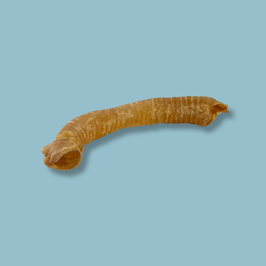Beef Trachea