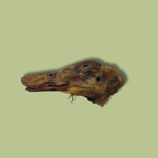 Duck Head