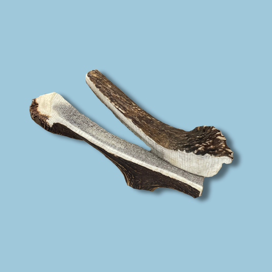 Elk Antker