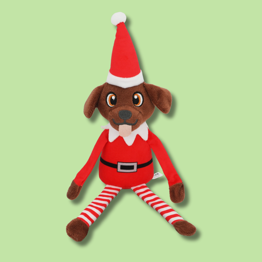 Dog on the Shelf