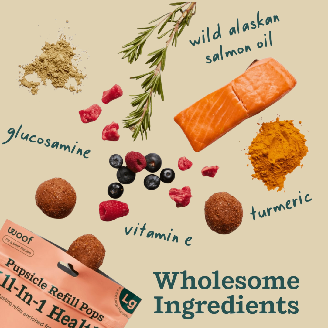 Woof Pupsicle Refills All-In-1 Health