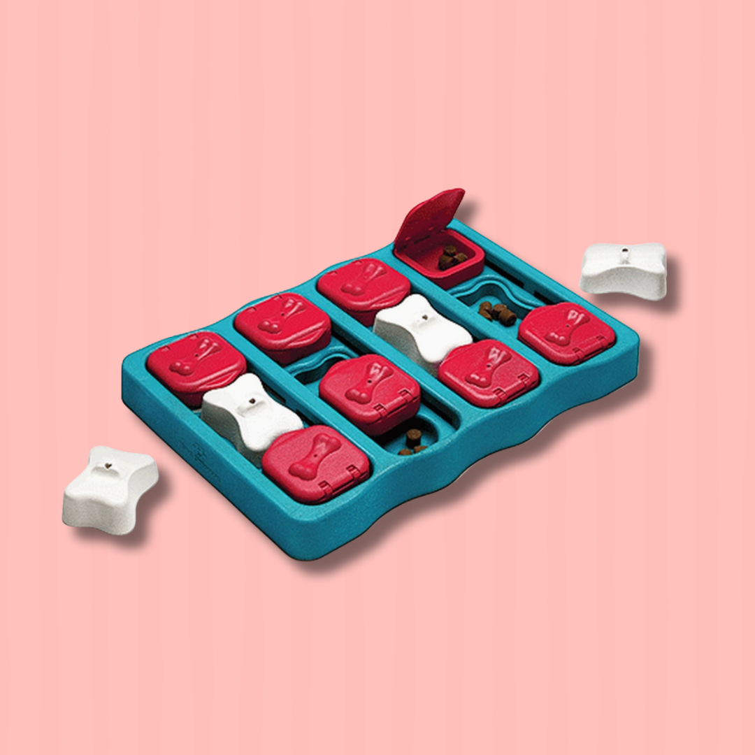 Outward Hound Dog Game - Dog Brick