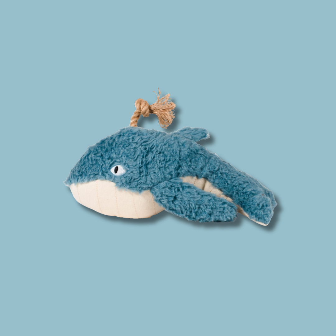 Earth Friendly Dog Toy Oh Whale