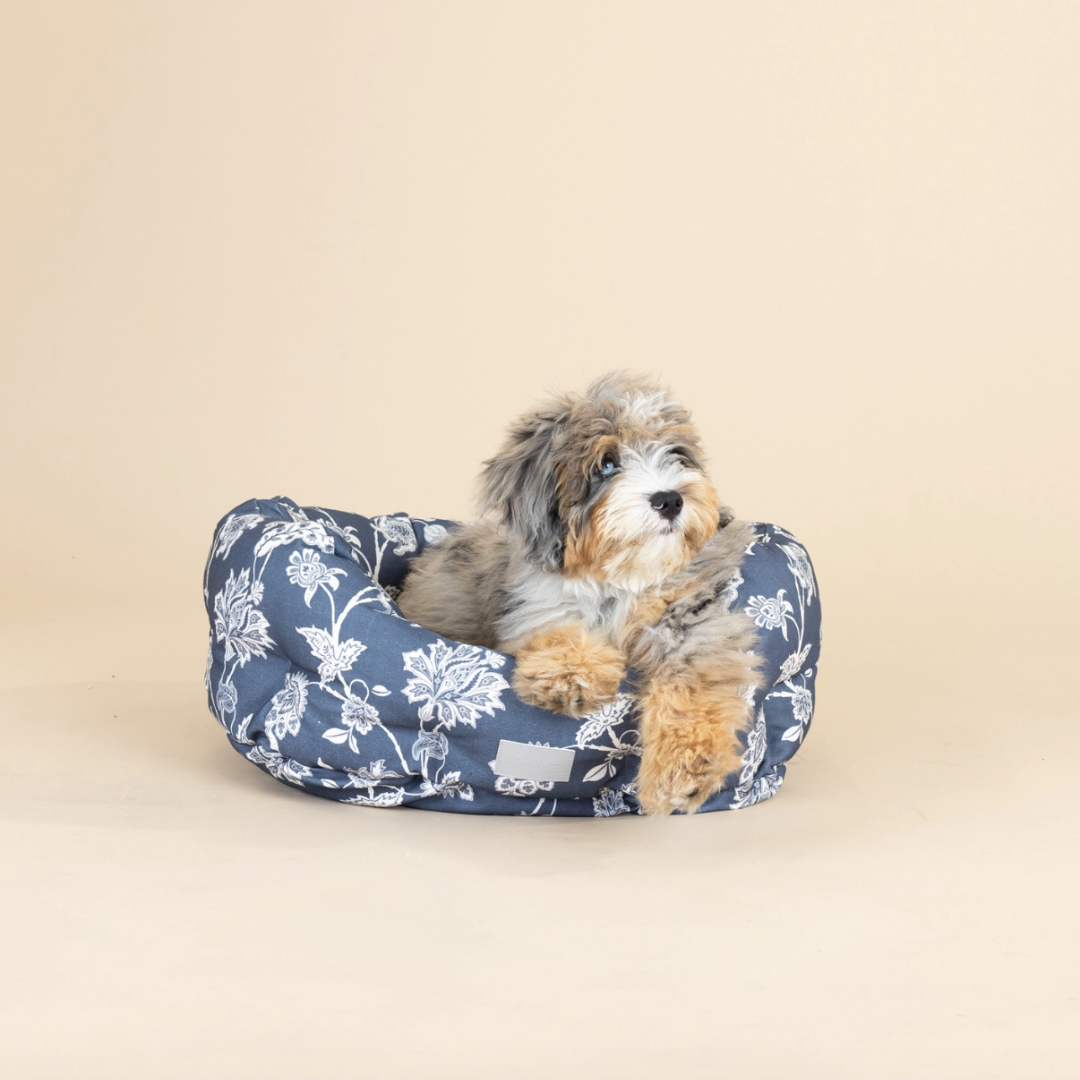 Blue Coastal Dog Bed