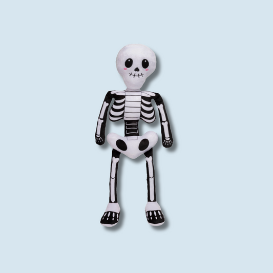 Large Skeleton Dog Toy