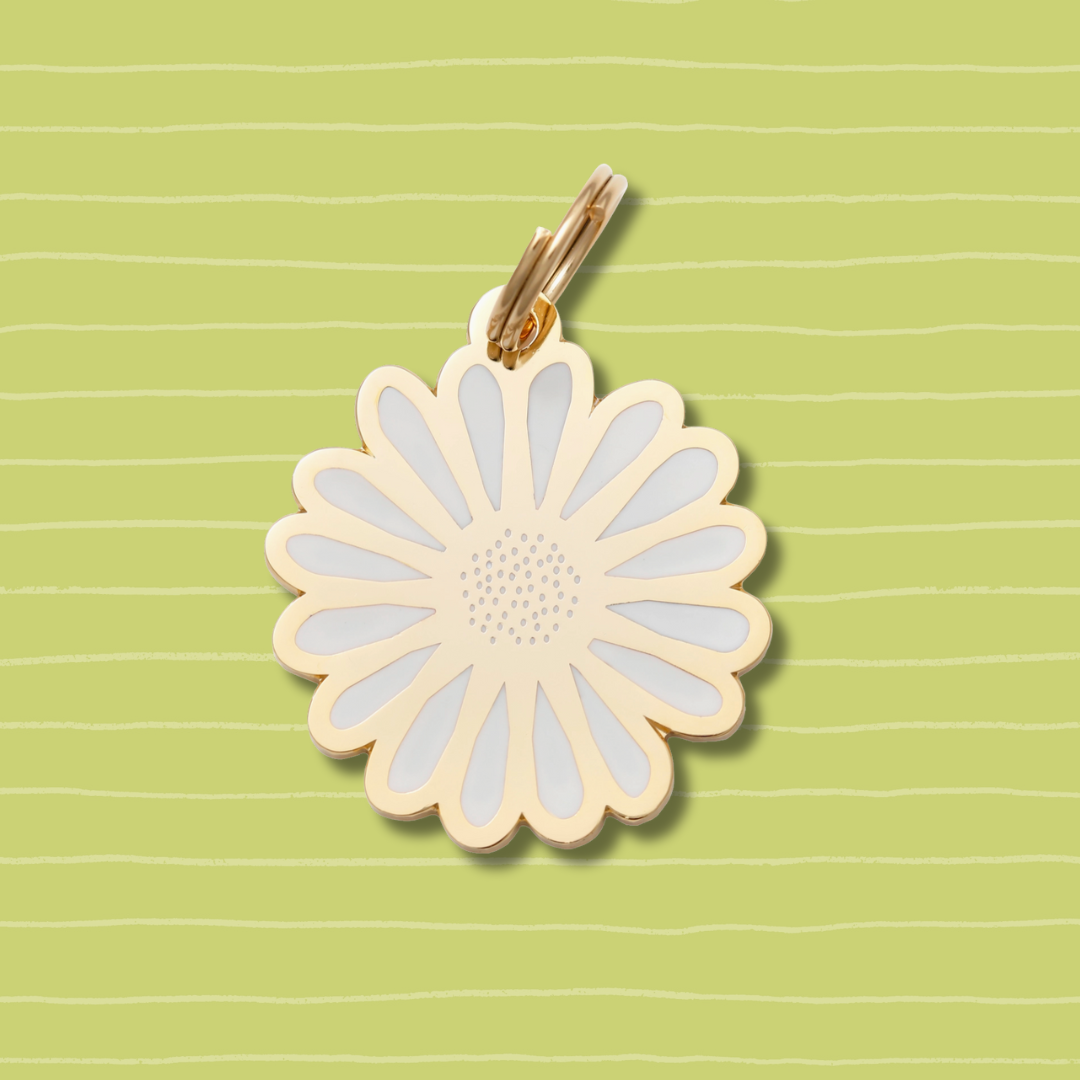 Daisy Pet Id Tag
