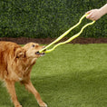 Load image into Gallery viewer, Ruff Dawg Super Tug