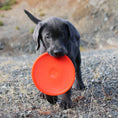 Load image into Gallery viewer, Ruff Dawg K9 Flyer Dog Toy