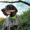 Load image into Gallery viewer, Scrappy Rabbit Dog Toy