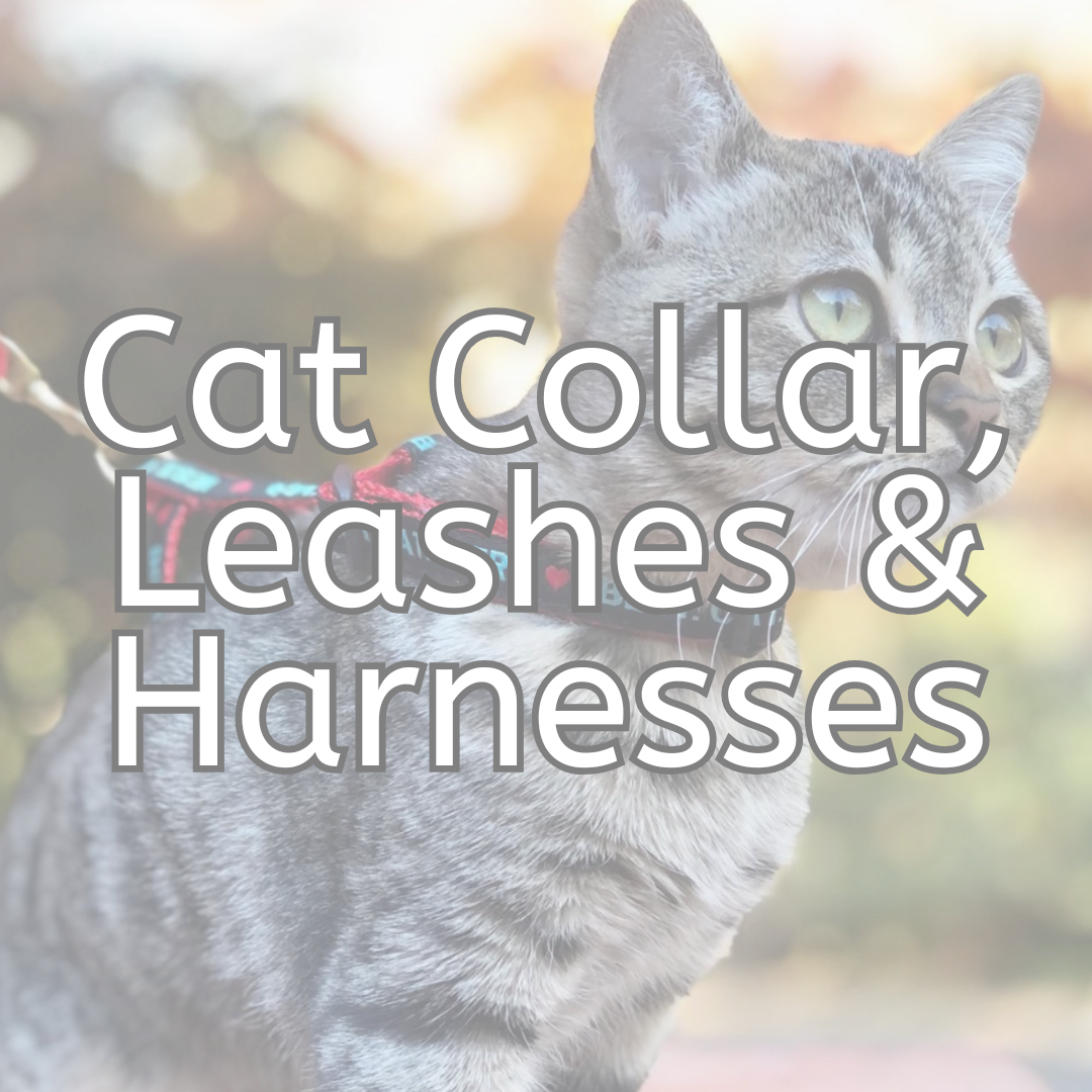Cat Leashes, Collars & Harnesses