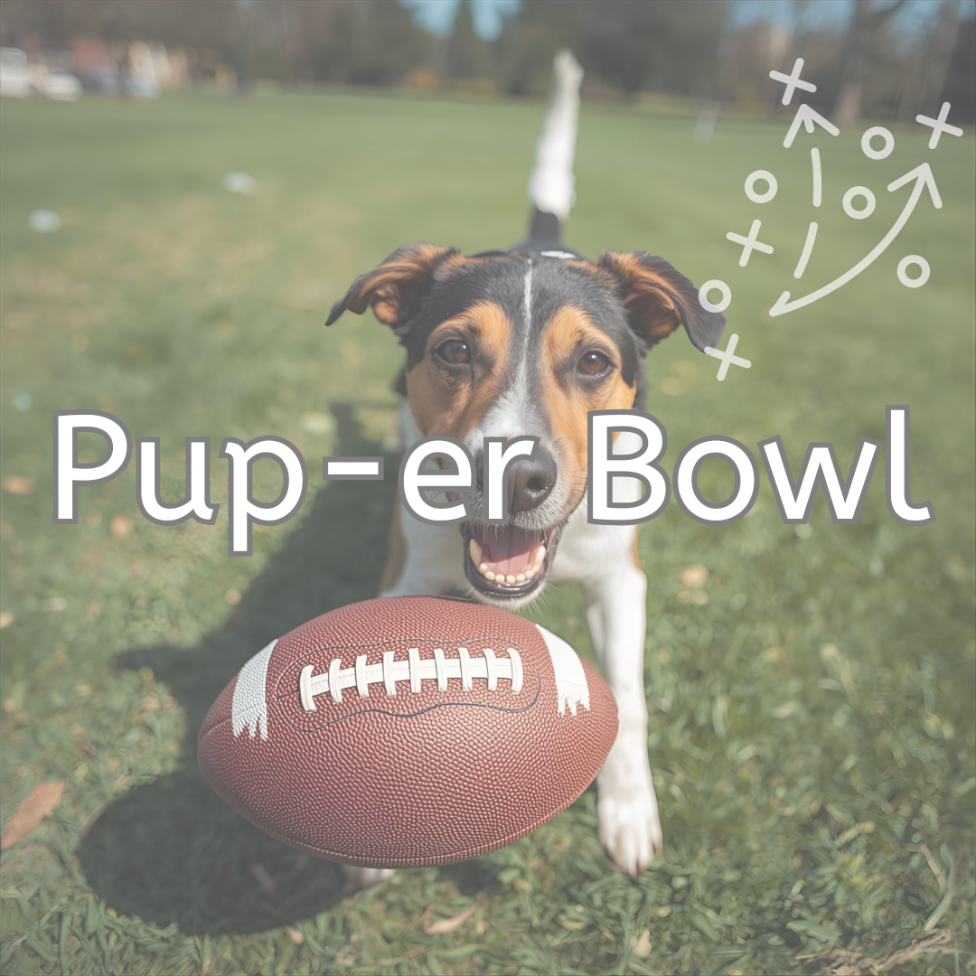 Pup-er Bowl Collection