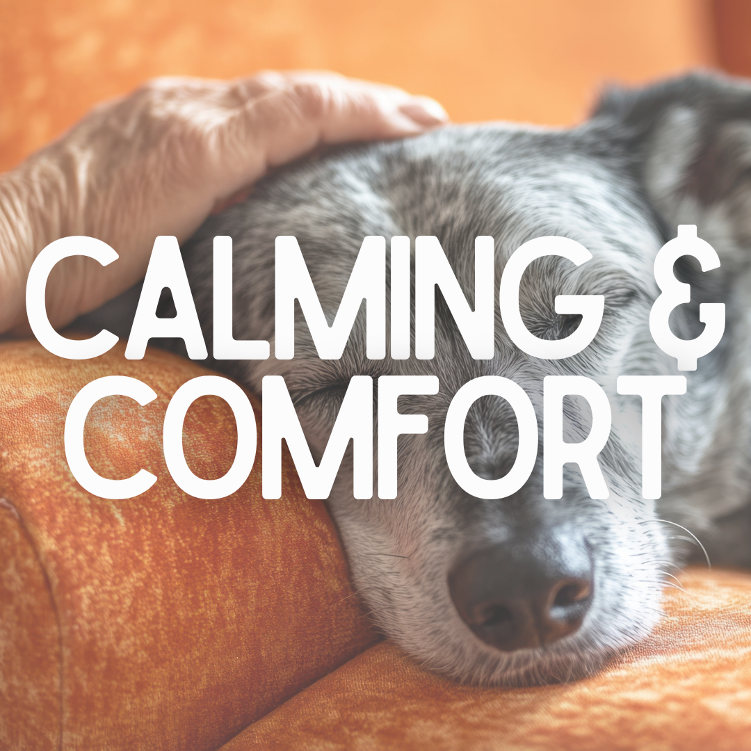 Calming & Comfort – WestWoof