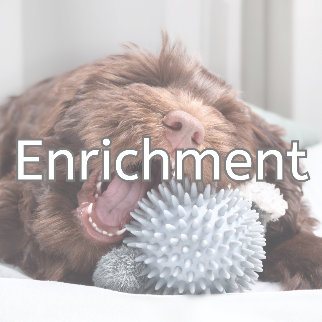 Enrichment