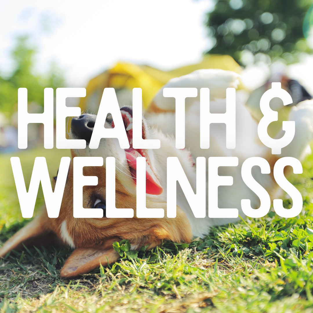 Dog Health & Wellness