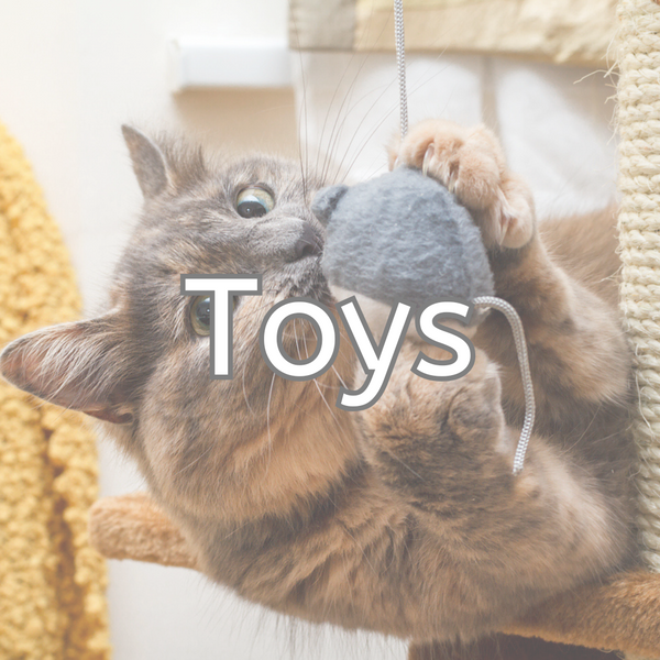 Cats Toys