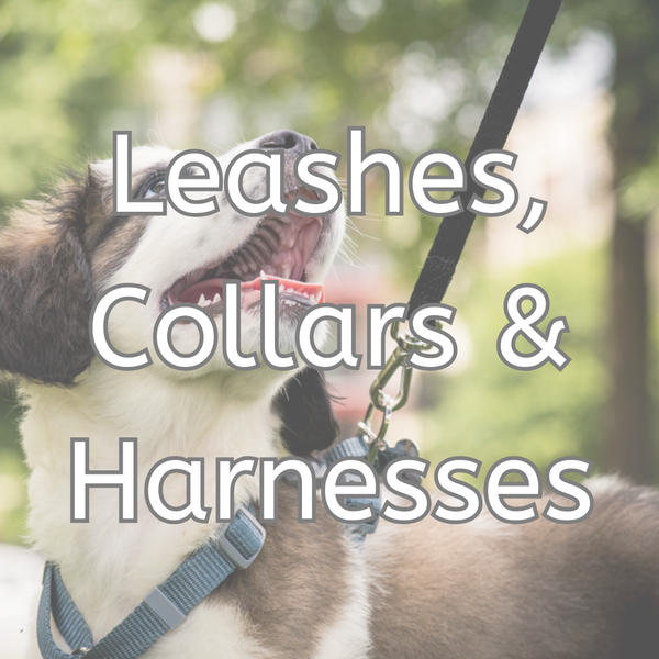 Leashes, Collars & Harnesses