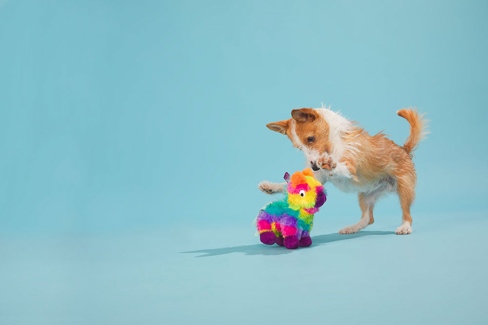 Bark Full O' Fluff Pinata Large