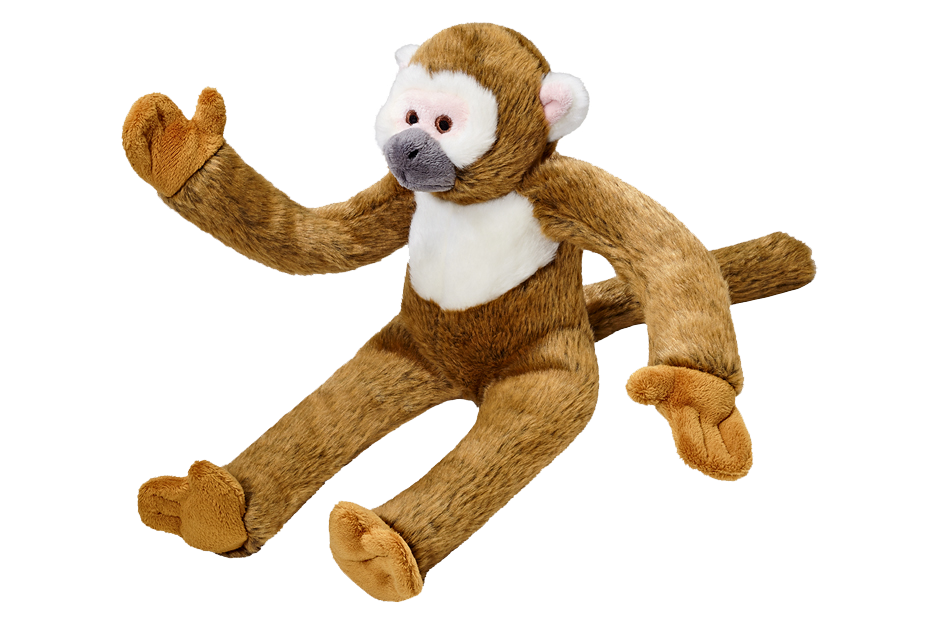 Albert Monkey