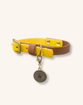 Load image into Gallery viewer, Yellow Collar - Henley
