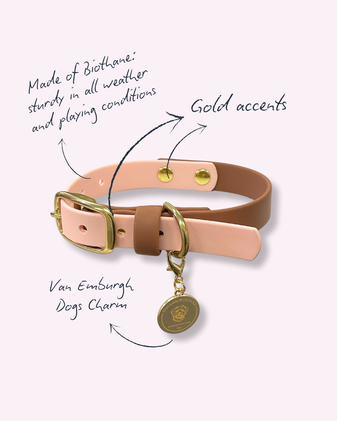 Pink Collar - Henley