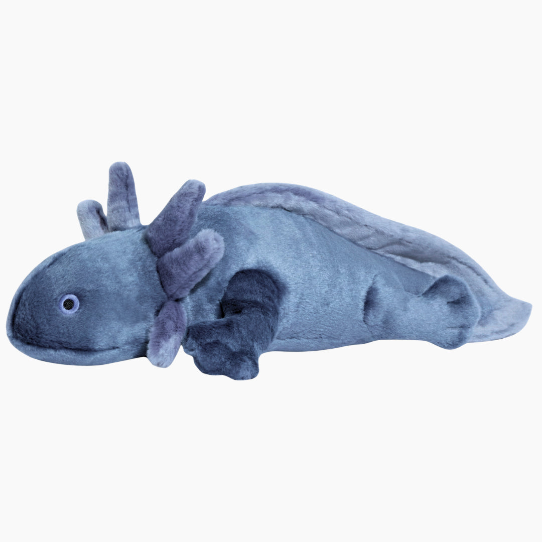 Millie Axolotl