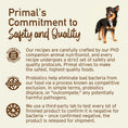 Load image into Gallery viewer, Freeze-Dried Raw Dog Treats - Peelin’ Fantastic
