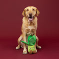 Load image into Gallery viewer, I'll Be Bok Plush Dog Toy
