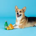 Load image into Gallery viewer, In Pizza We Crust 2pc Latex Dog Toy Set
