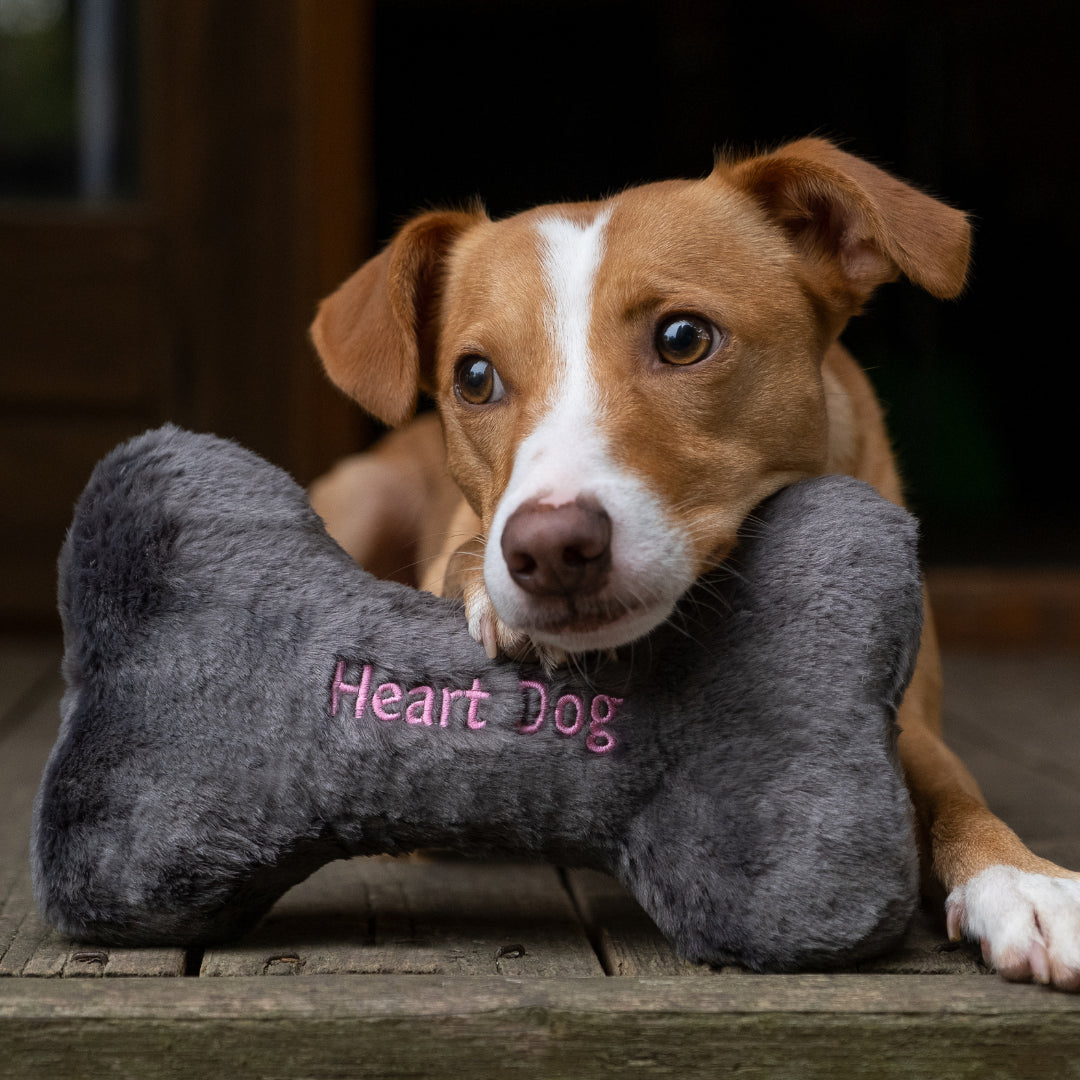 Heart Dog Toy