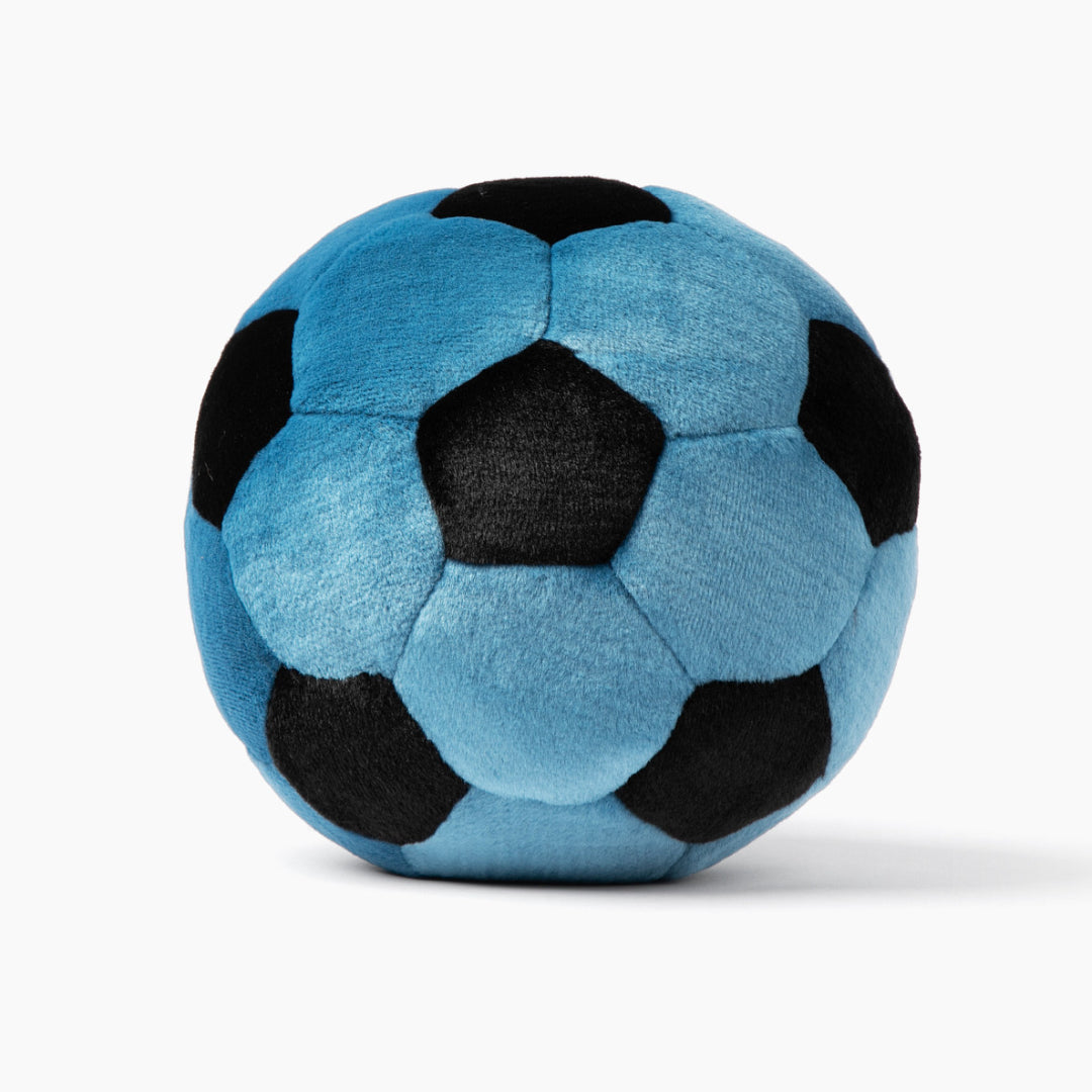Large Blue Soccer Ball