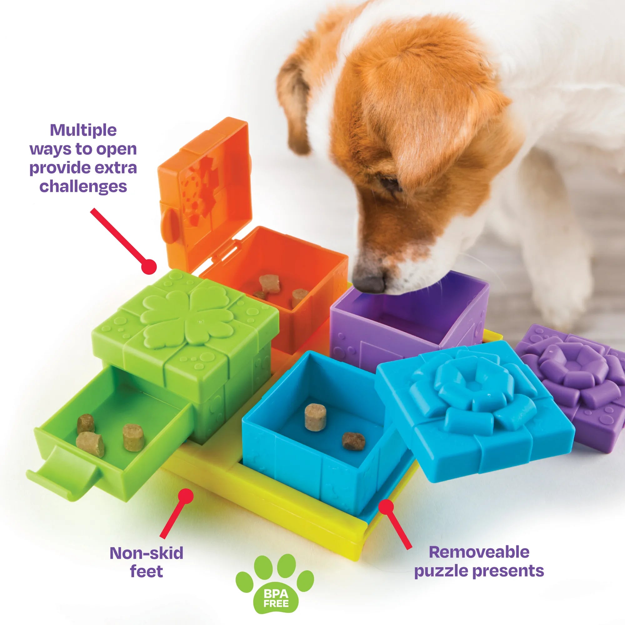 Surprise Party! Treat Puzzle