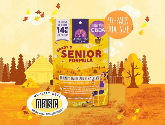 Senior Blend Chew 10-Pack