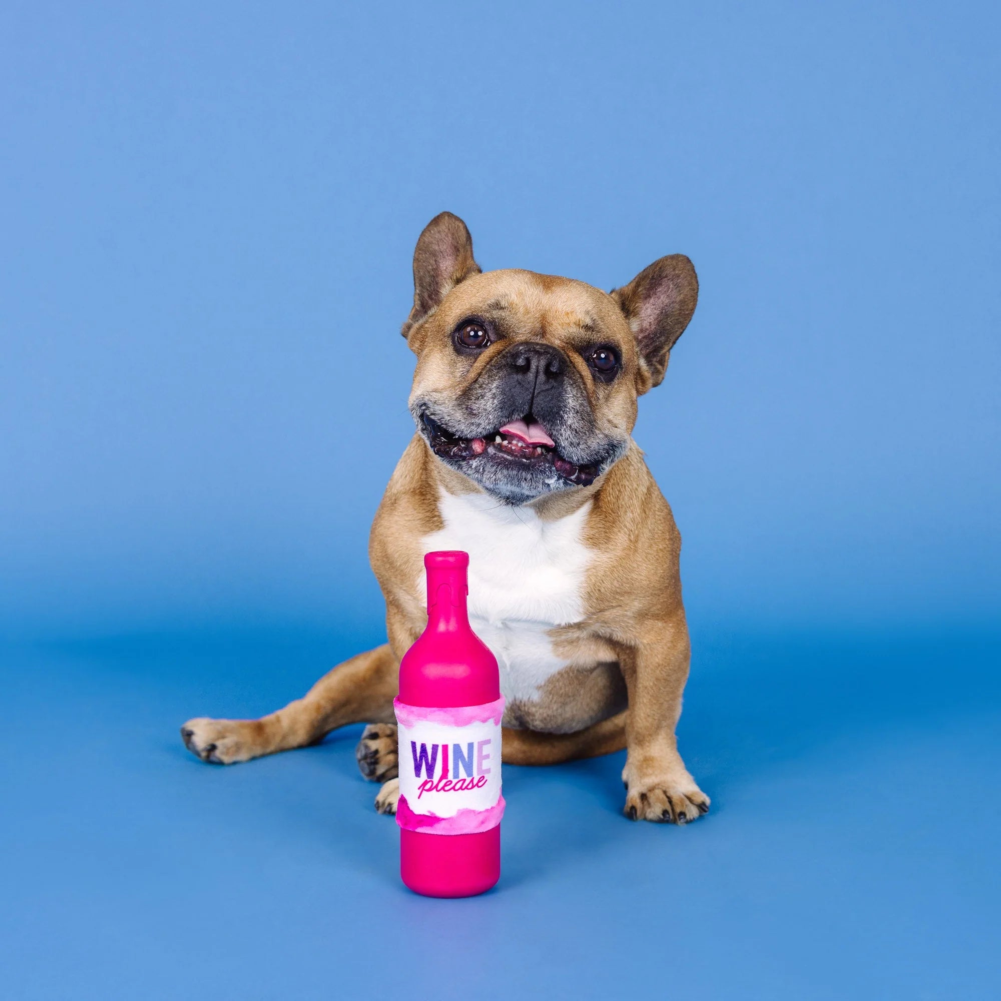 Wine Please Rubber/Plush Dog Toy