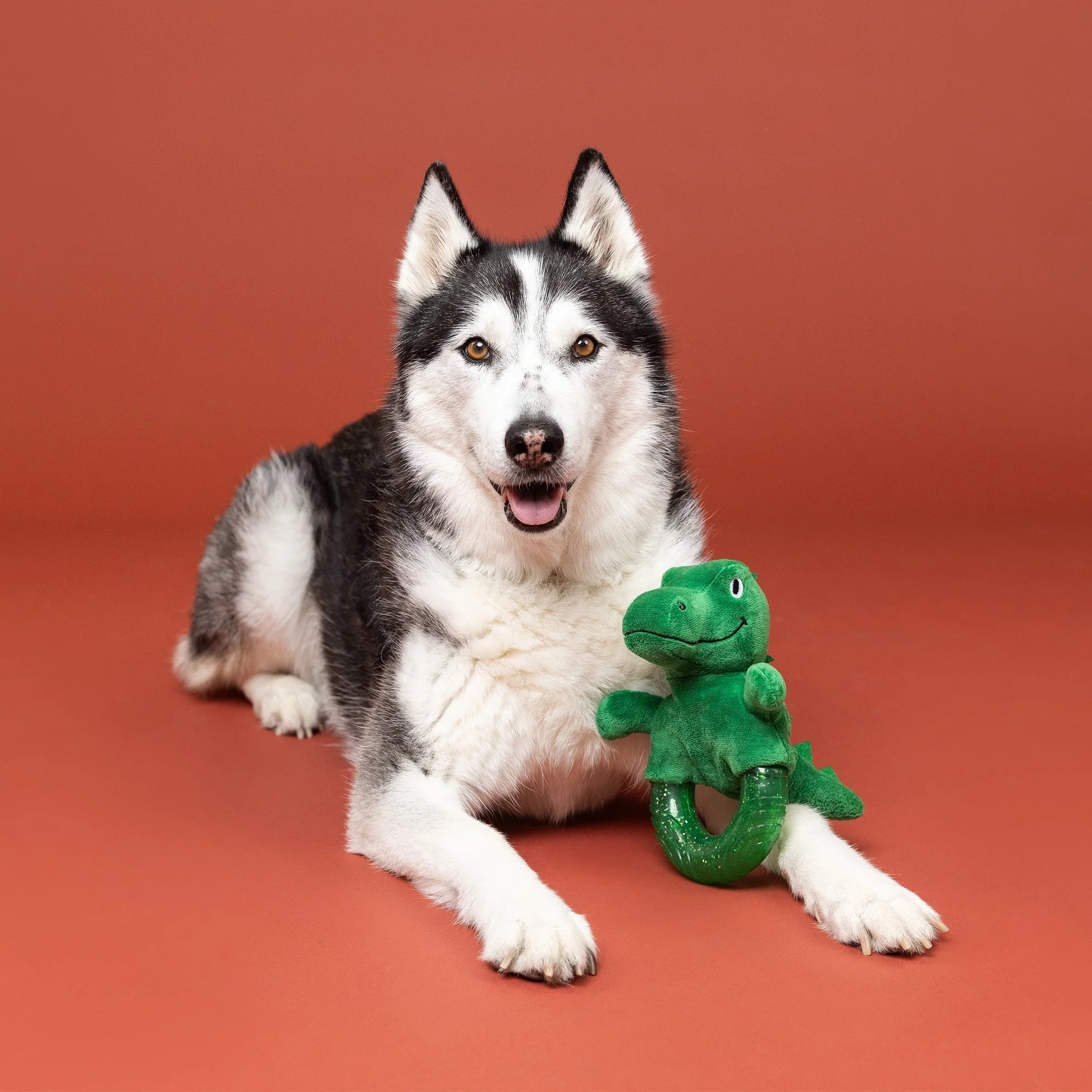 Unleash The Dino Rubber/Plush Dog Toy
