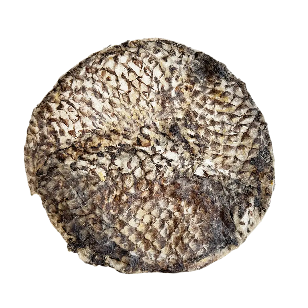 Tilapia Furs-Bee® - one toss and eat treat!