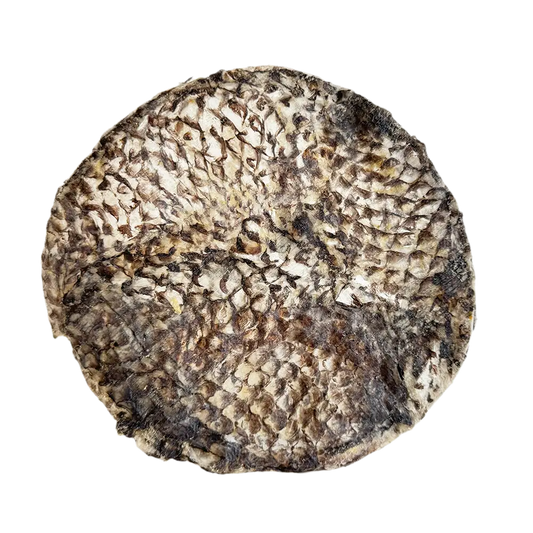 Tilapia Furs-Bee® - one toss and eat treat!