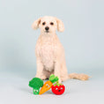 Load image into Gallery viewer, Farm To Table 3pc Mini Plush Dog Toy Set
