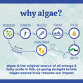 Load image into Gallery viewer, Austin & Kat - Marine Algae Oil
